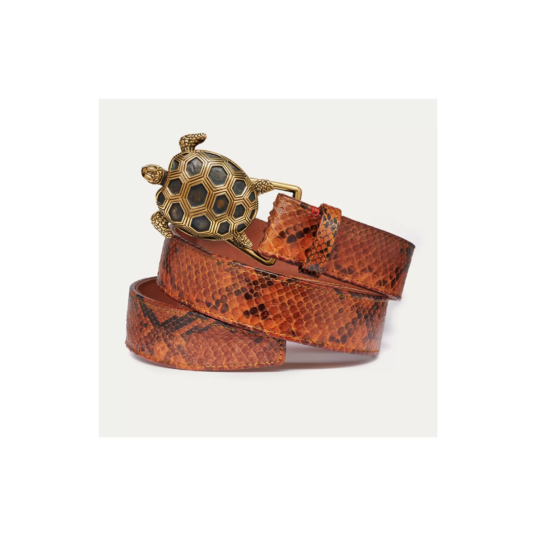 Ceinture Tortue<Claris Virot Ceinture Tortue Python Moka Boucle Or