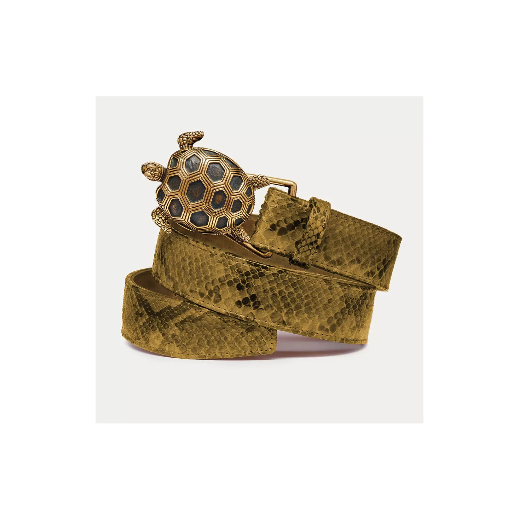 Ceinture Tortue<Claris Virot Ceinture Tortue Python Kaki Boucle Or